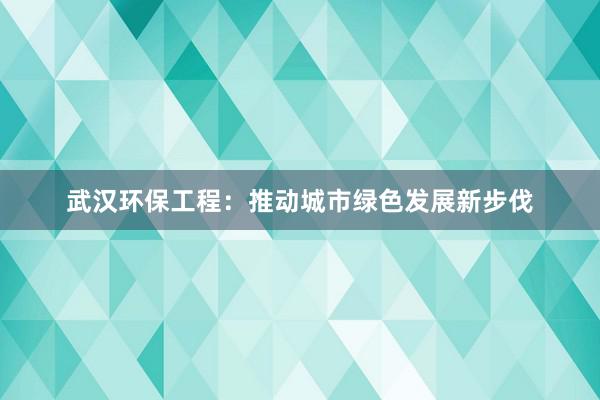 武汉环保工程：推动城市绿色发展新步伐